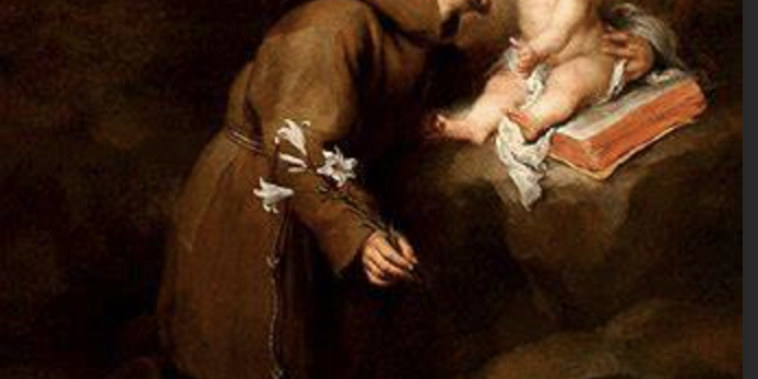 Captura de pantalla 2023-07-13 a las 7.33.14 a. m.