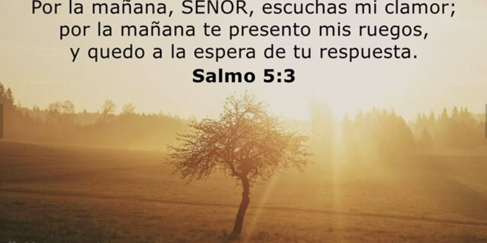 Captura de pantalla 2023-07-19 a las 5.27.21 a. m.