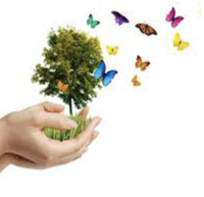 Captura de pantalla 2023-07-28 a las 11.00.21 a. m.