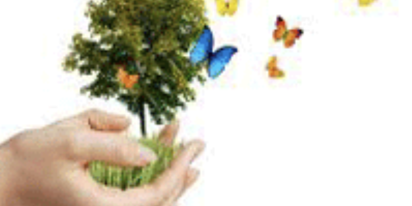 Captura de pantalla 2023-07-28 a las 11.00.21 a. m.