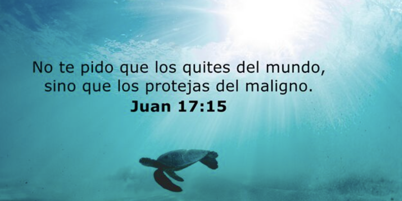 Captura de pantalla 2023-07-31 a las 1.53.04 p. m.