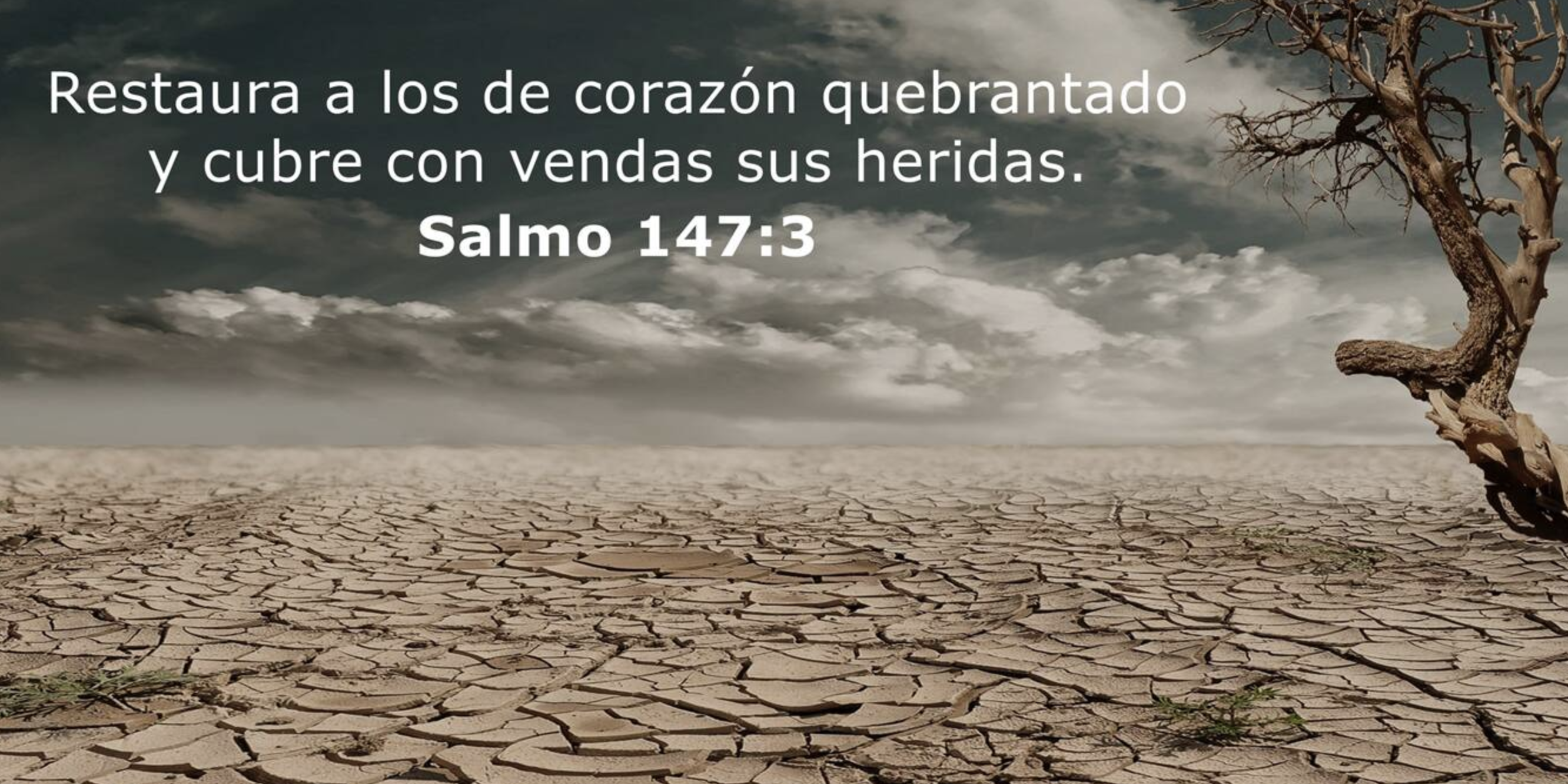 Captura de pantalla 2023-10-13 a las 7.01.22