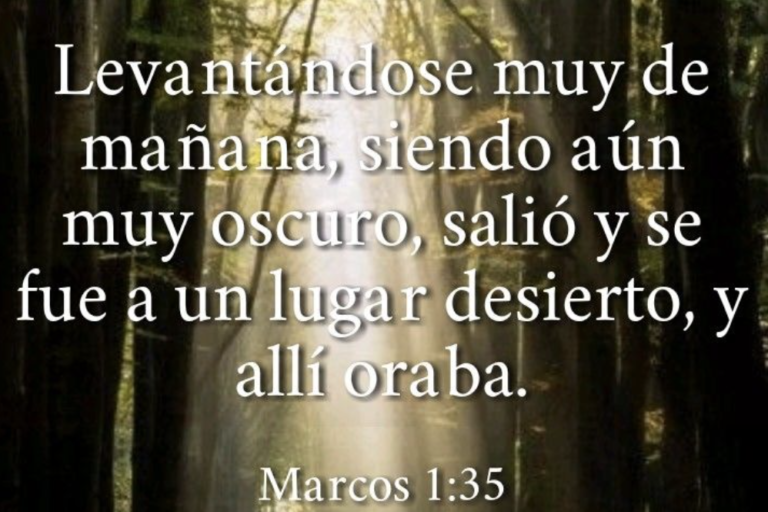 Captura de pantalla 2023-12-14 a las 12.45.09