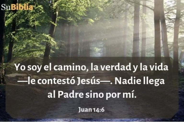 Captura de pantalla 2023-12-24 a las 9.52.20