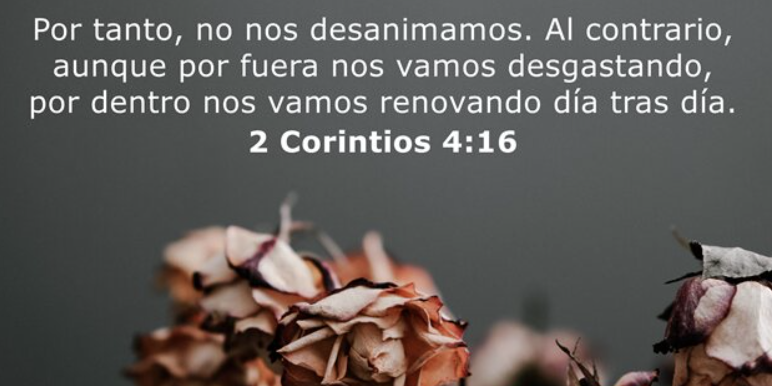 Captura de pantalla 2024-01-05 a las 11.21.08