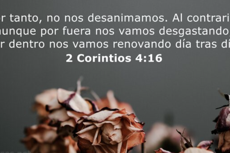 Captura de pantalla 2024-01-05 a las 11.21.08