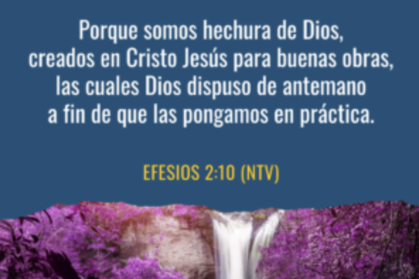 Captura de pantalla 2024-01-08 a las 10.12.43