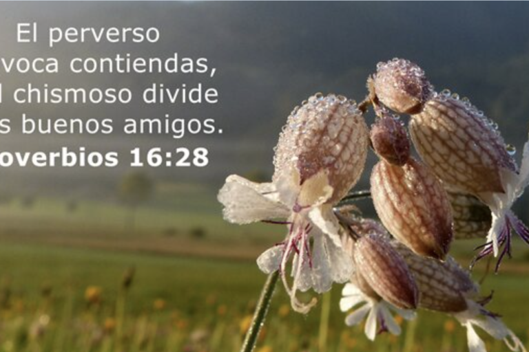 Captura de pantalla 2024-01-11 a las 11.48.47