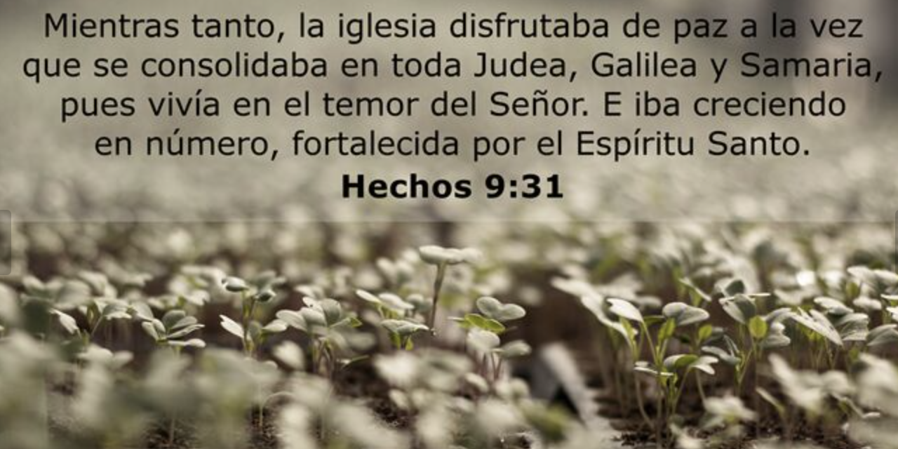 Captura de pantalla 2024-05-09 a las 14.14.43