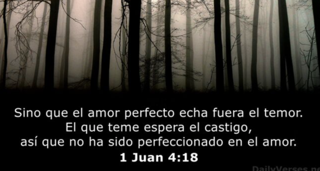 Captura de pantalla 2024-06-13 a las 13.21.15