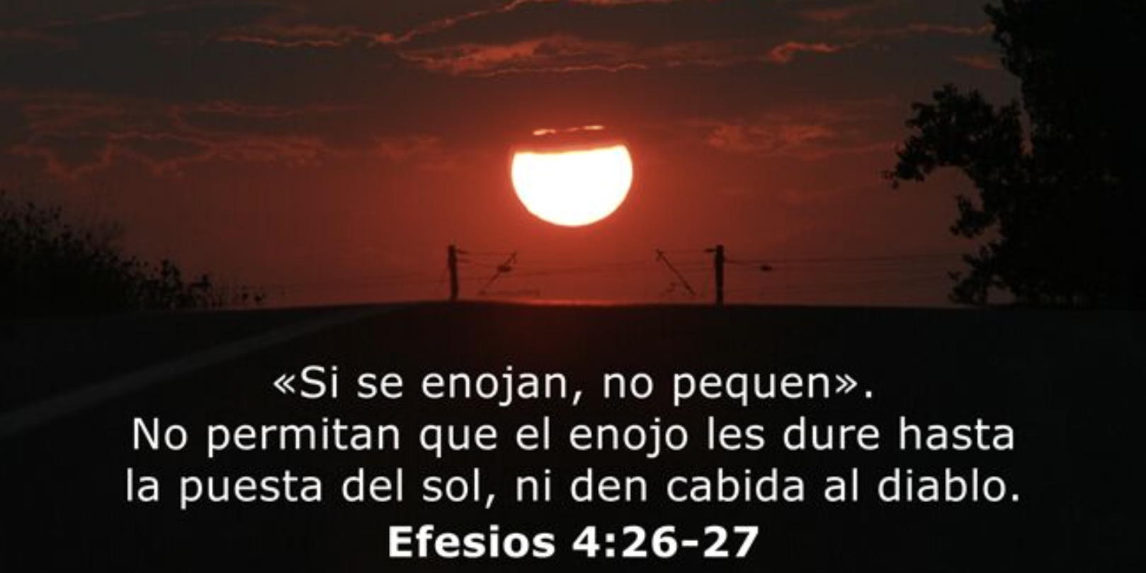 Captura de pantalla 2024-06-14 a las 13.42.49