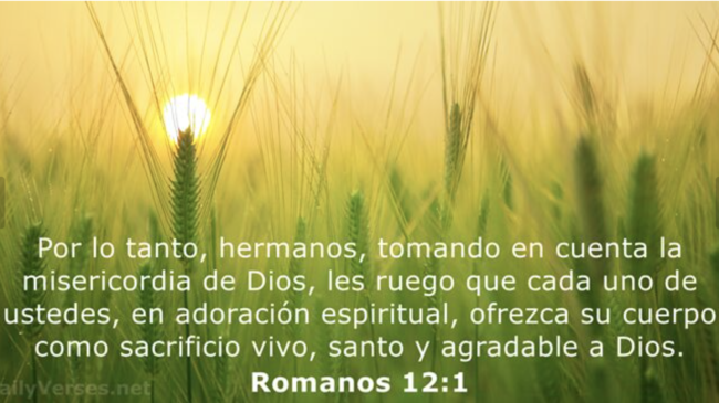 Captura de pantalla 2024-06-25 a las 18.53.13