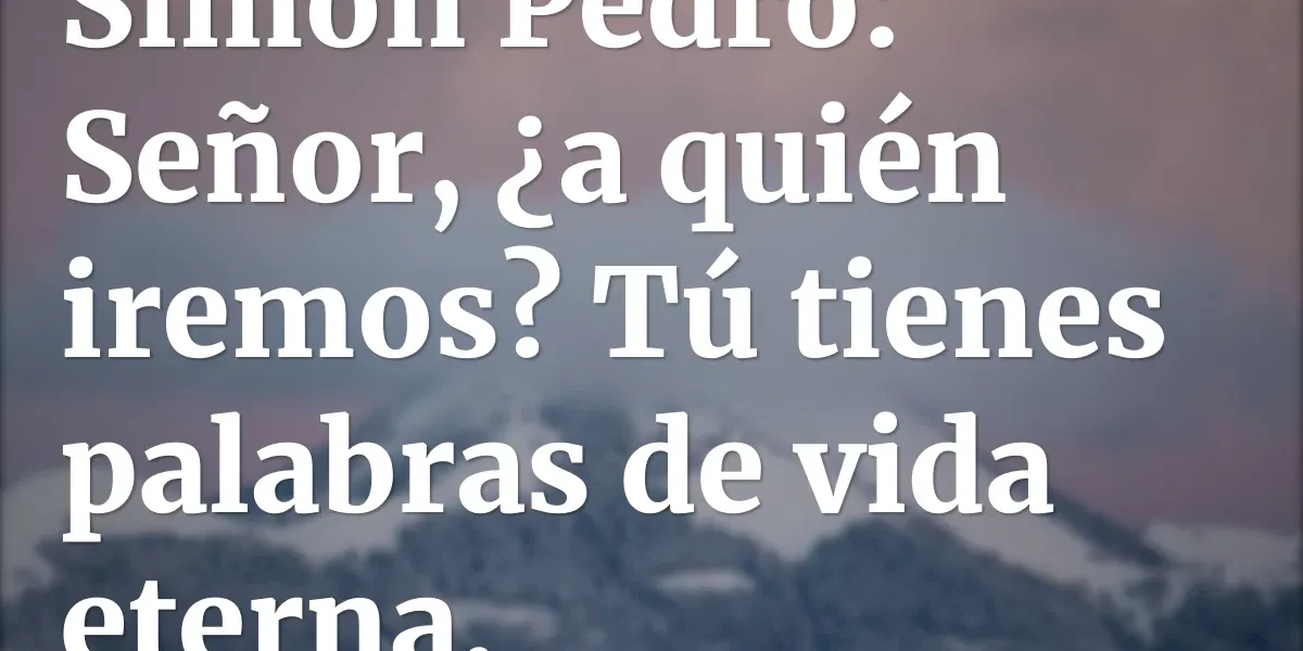 Palabras de vida eterna