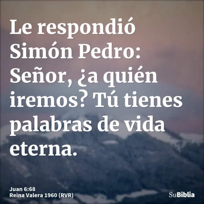 Palabras de vida eterna